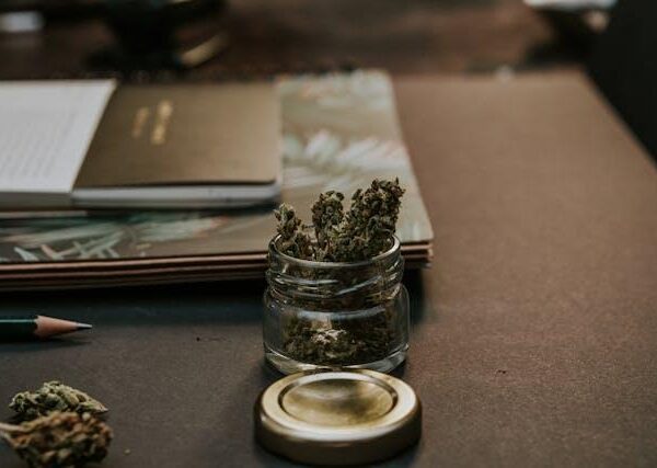 How to Find a Reputable Cannabis Dispensary